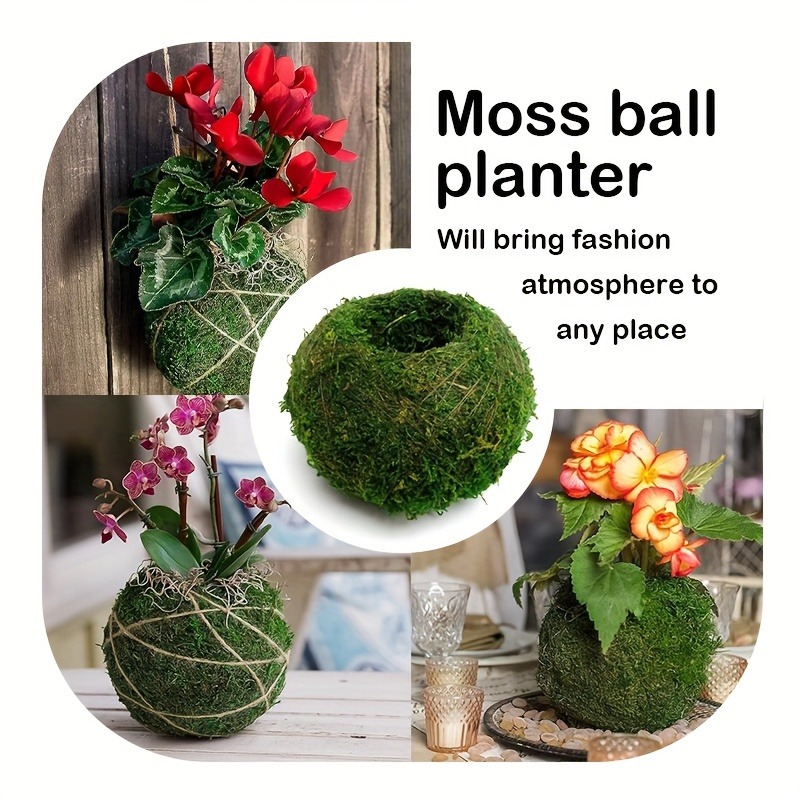 Yapay Yosun Topu Saksısı, Doğa - Sphagnum Moss Dry incelemesi ve fiyatı
