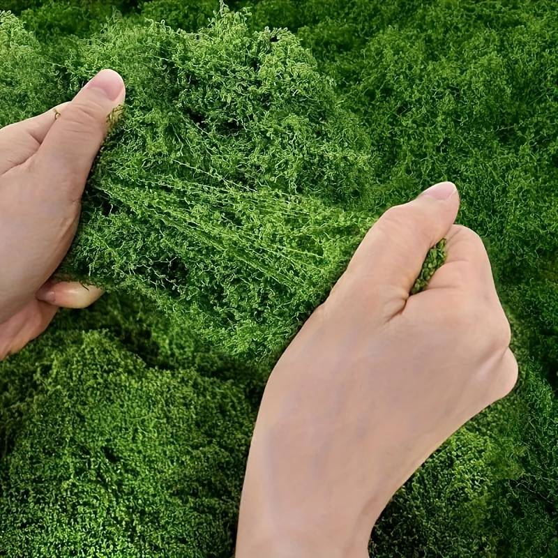 20' X 20' Bitkiler İçin Yapay  - Sphagnum Moss Dry incelemesi ve fiyatı