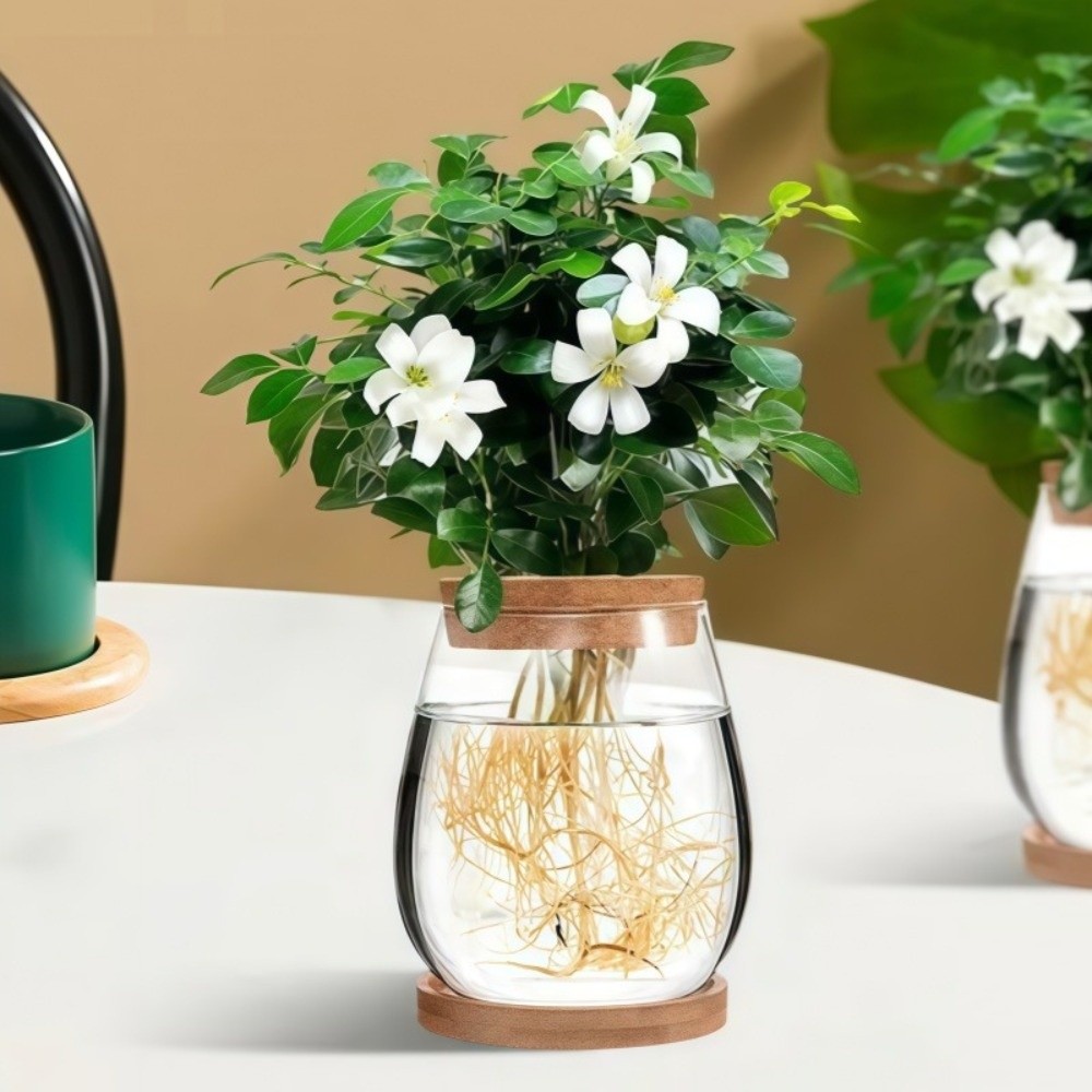 Şeffaf Hidroponik Saksı, Ahşap - Propagation Station Vase incelemesi ve fiyatı