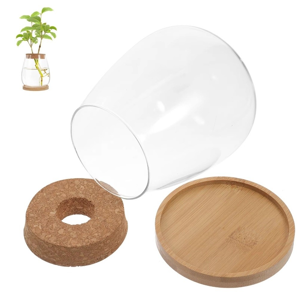 Şeffaf Hidroponik Saksı, Ahşap - Propagation Station Vase incelemesi ve fiyatı
