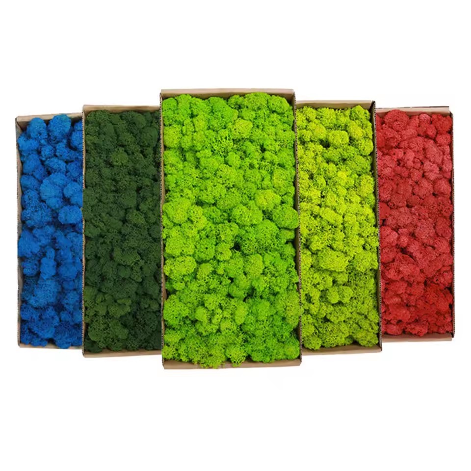20-200g Yapay Yeşil Bitkiler P - Sphagnum Moss Dry incelemesi ve fiyatı