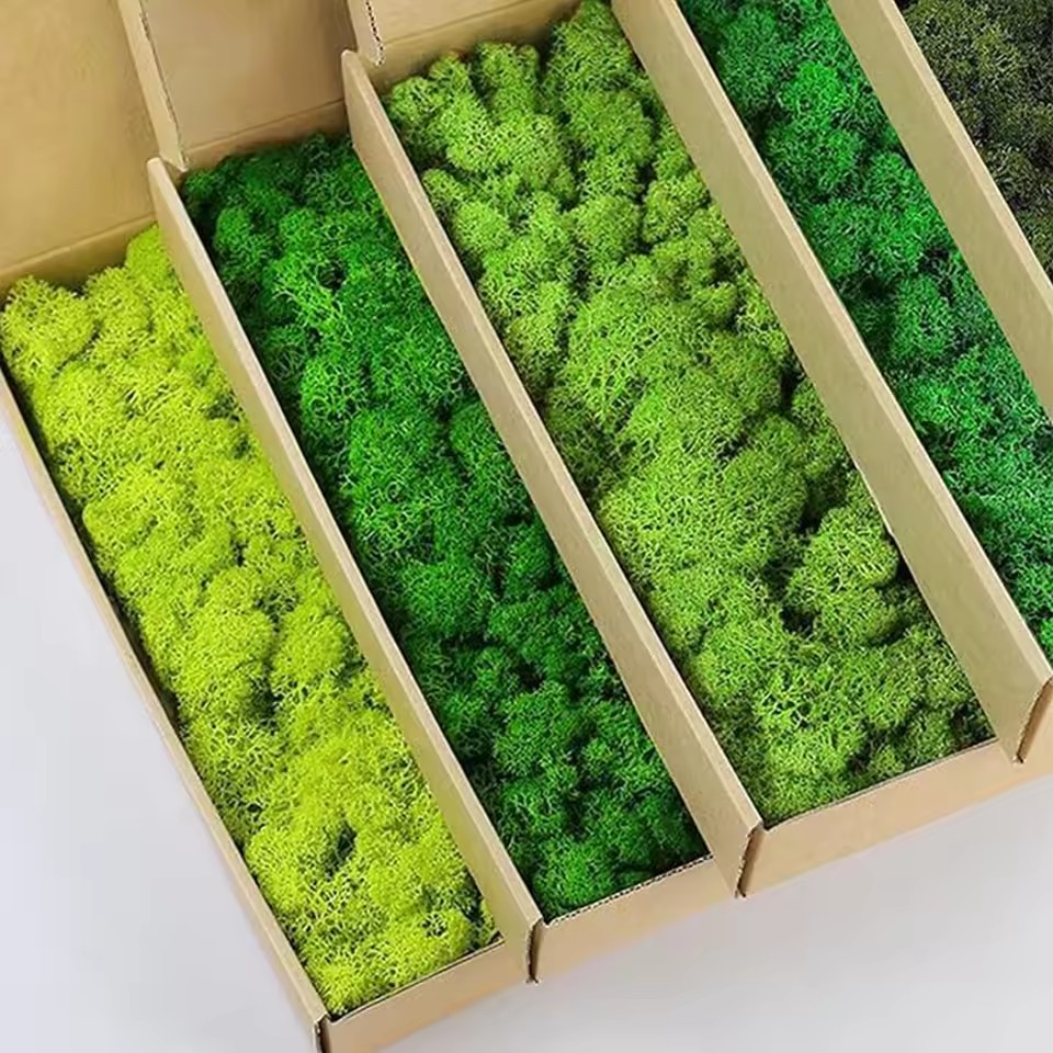 20-200g Yapay Yeşil Bitkiler P - Sphagnum Moss Dry incelemesi ve fiyatı